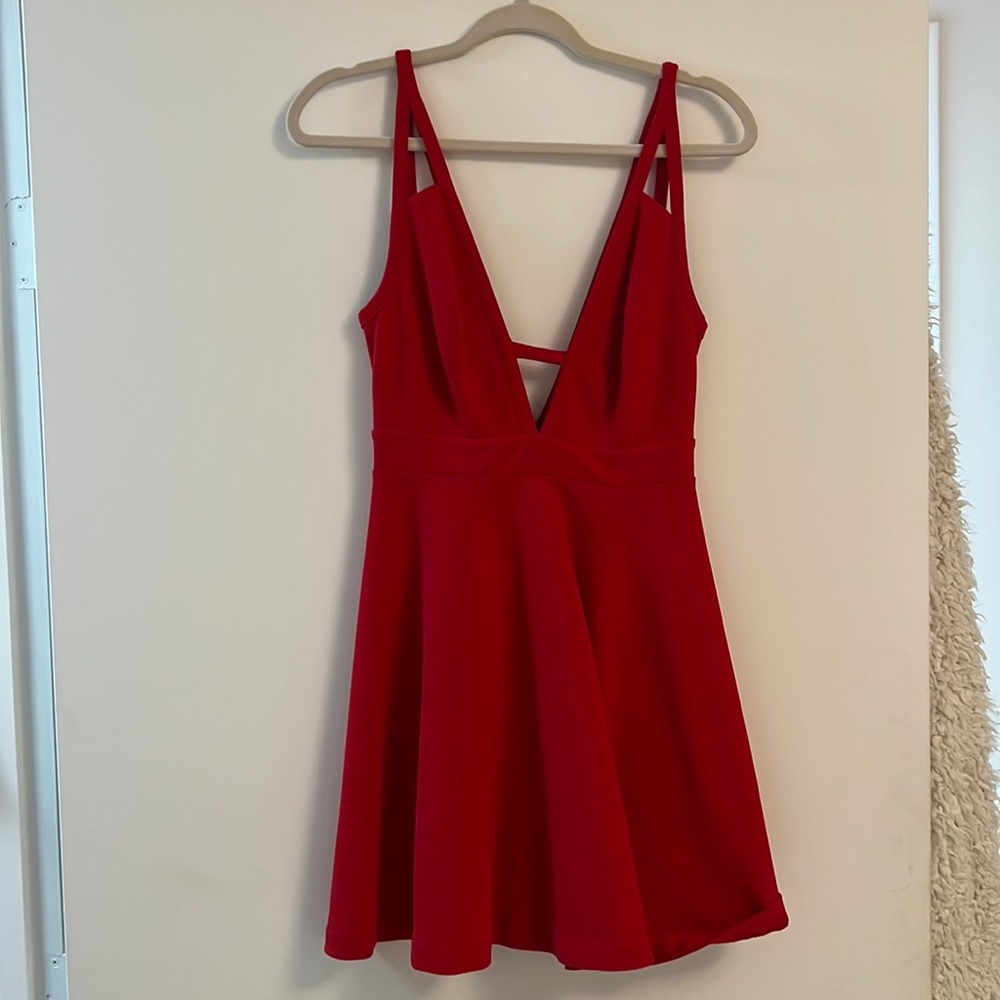 Express Skater Dress